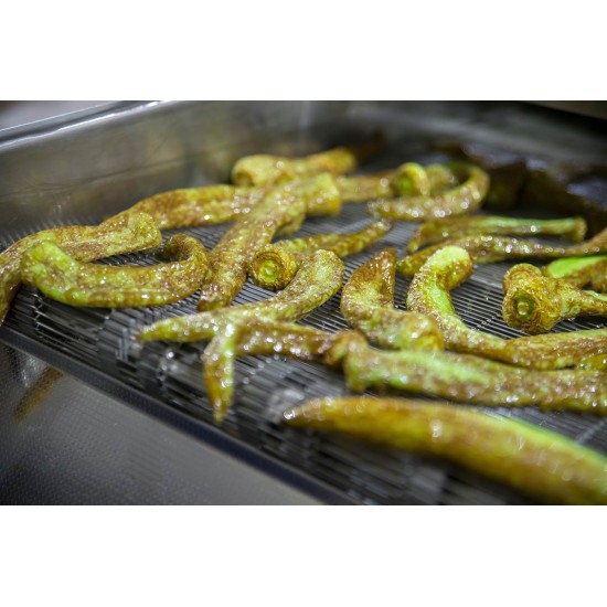 Konveyörlü Fritöz